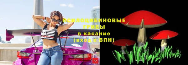 ПСИЛОЦИБИНОВЫЕ ГРИБЫ Переславль-Залесский