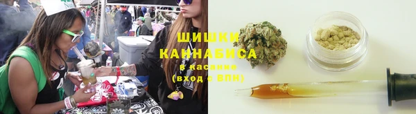 индика Абдулино