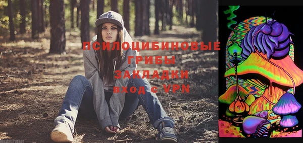 трава Абаза