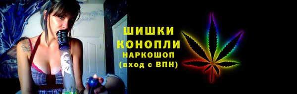 дурь Пестово
