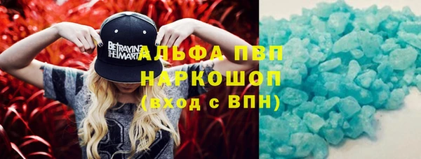 сатива Абинск
