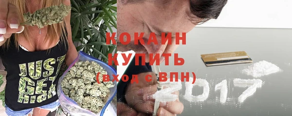 ешки Пересвет