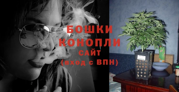 сатива Абинск