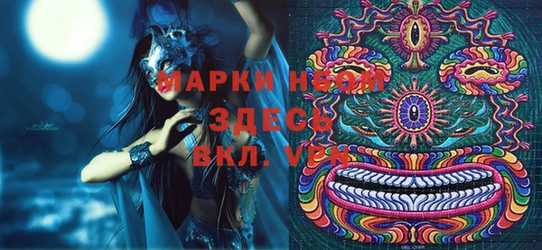 дурь Пестово