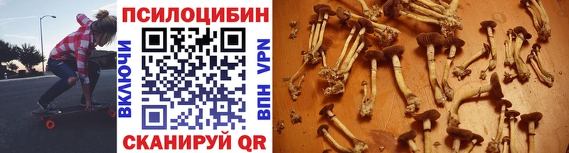 магазин  наркотиков  Южноуральск  Галлюциногенные грибы Psilocybine cubensis 