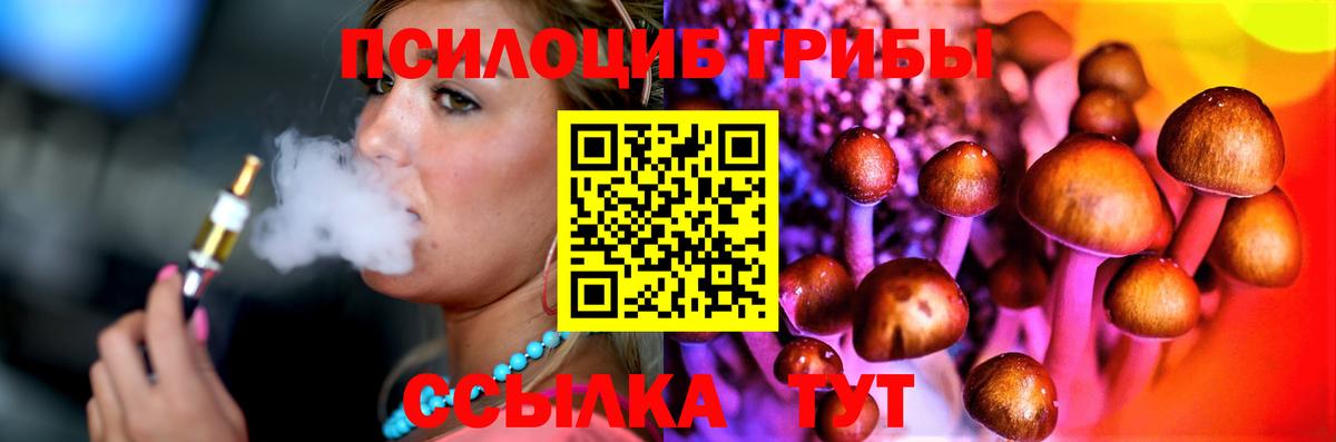 Южноуральск  Псилоцибиновые грибы Psilocybe  Псилоцибиновые грибы Cubensis  Вход с VPN 